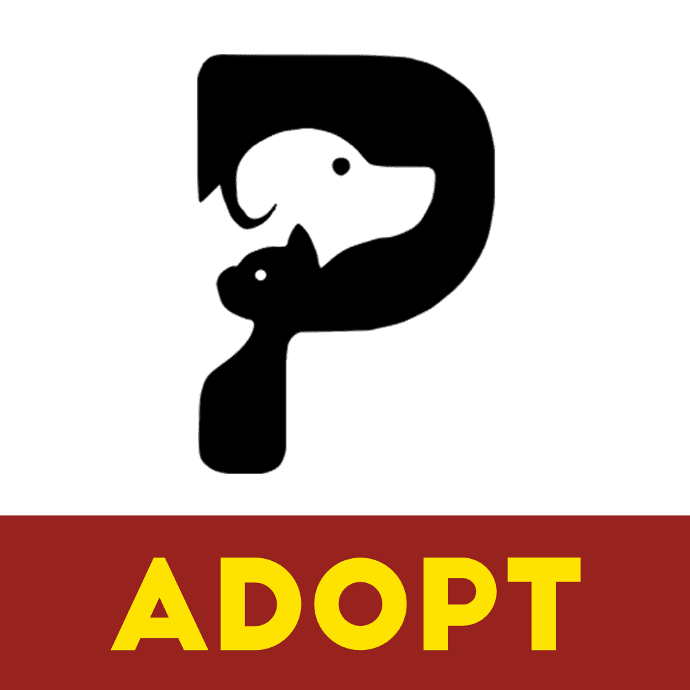 Pet UG Adopt